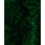 Tapis unique en laine 4 pi 1 po x 12 pi 1 po Huckstep