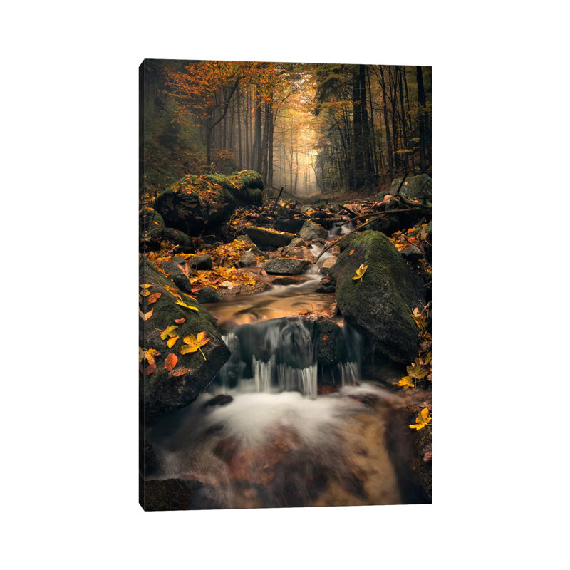 «Autumn Jungle» par Stefan Hefele - reproduction de photo, H 12 po x l 8 po x P 0,75 po, Toile tendue