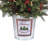 3' LED Potted Berry And Mix  Greens Tree