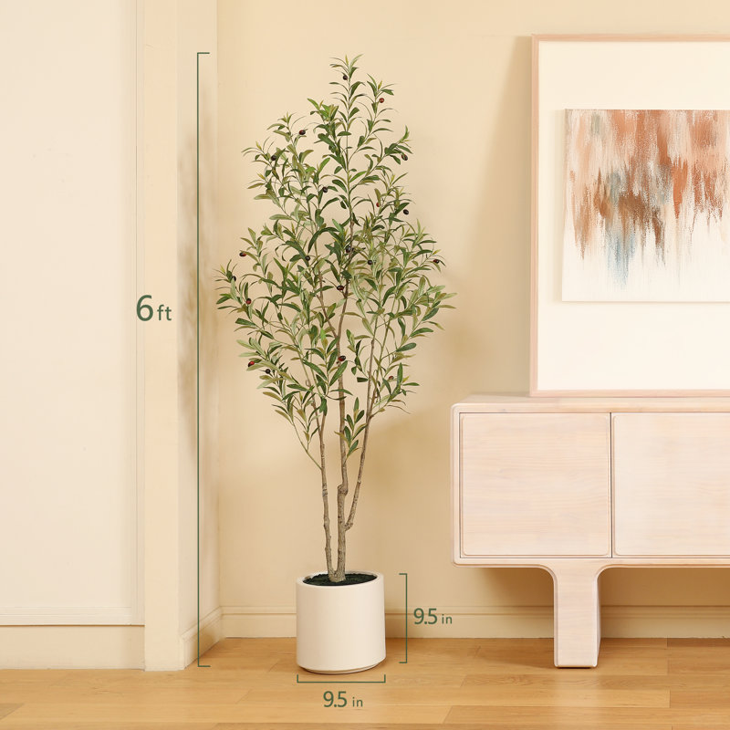 Altman Faux Olive Tree with White Planter, 72'' H X 22'' W X 22'' D