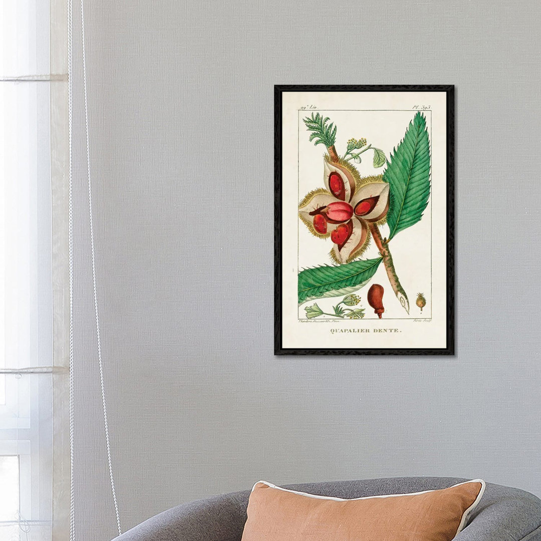 Turpin Foliage & Fruit II von Turpin - Floater Frame Gallery-Wrapped Canvas Giclée on Canvas