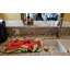 Tapis de séchage amaryllis fleur-