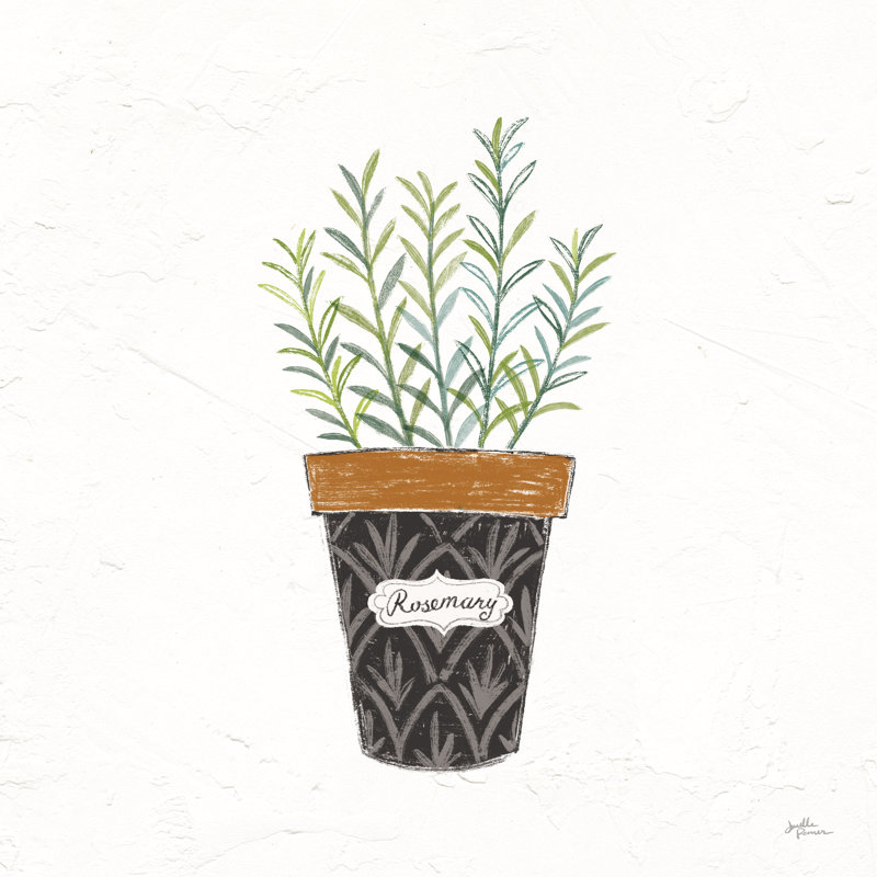 Fine Herbs IX by Janelle Penner - Wrapped Canvas Painting, 30cm H x 30cm W x 3.8cm D
