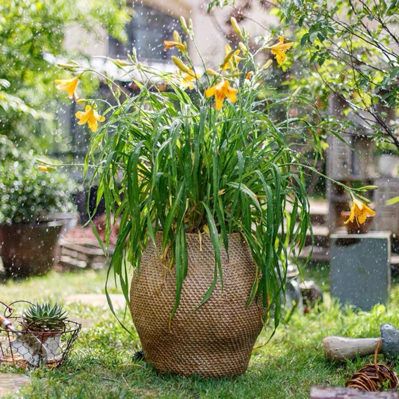 Zayante Pot Planter, 20" H x 11" W x 15.5" D