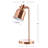 Bulluck Metal Desk Lamp