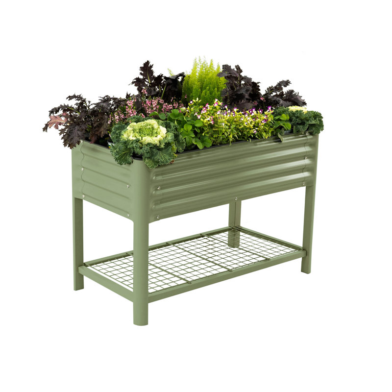 Jardinière surélevée pour l'extérieur 32 po de hauteur et 48 po de longueur, Olive Green