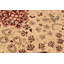 Tapis de zone en laine ivoire/rouge 9 pi x 12 pi 5 po one-of-kind main noué la heritage Roby