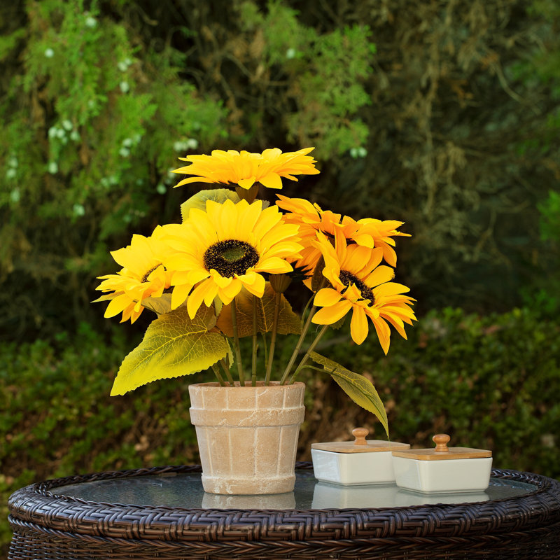 Arrangement floral tournesol en pot