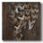 " Social Butterflies "-1651786050