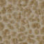 Cushion Serlina Auden Beige-869429873