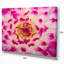Photographie « smooth white rose pétales »-35062985-35062996