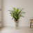 Dracaena Artificial Plant with Urn
