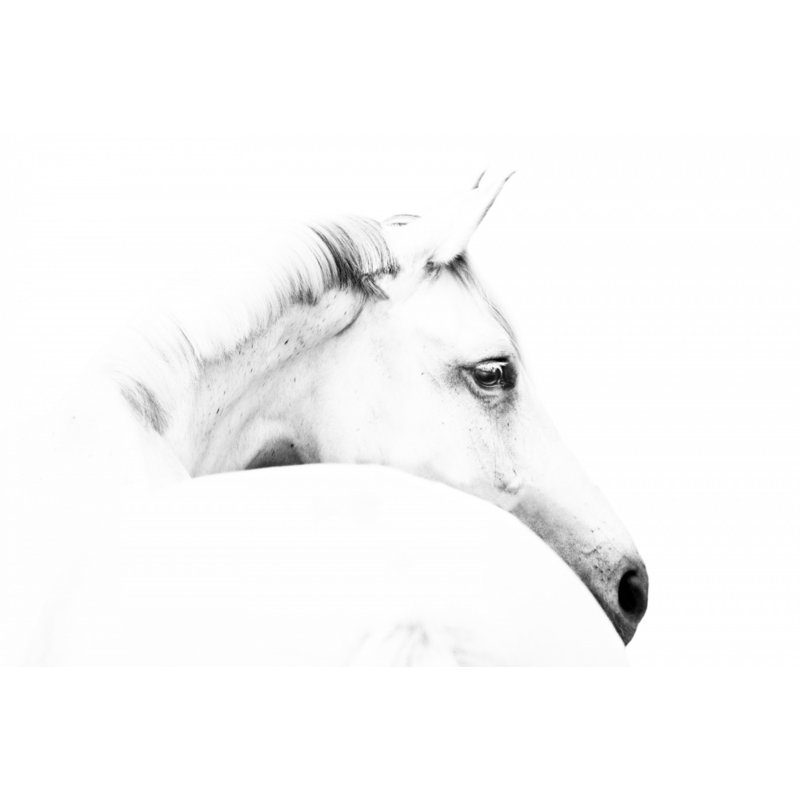 Wrapped Canvas Print, 60.96cm H x 91.44cm W