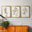 Neutral Botanical Study I - Ensemble de 3 impressions sur toile encadrées-1192051500-1192051496