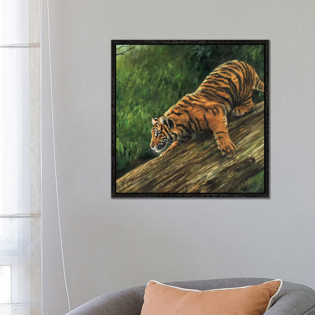 Tiger In Tree von David Stribbling - Galerie-umwickelte Leinwand Giclée