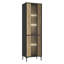 Shamauria Display Cabinet