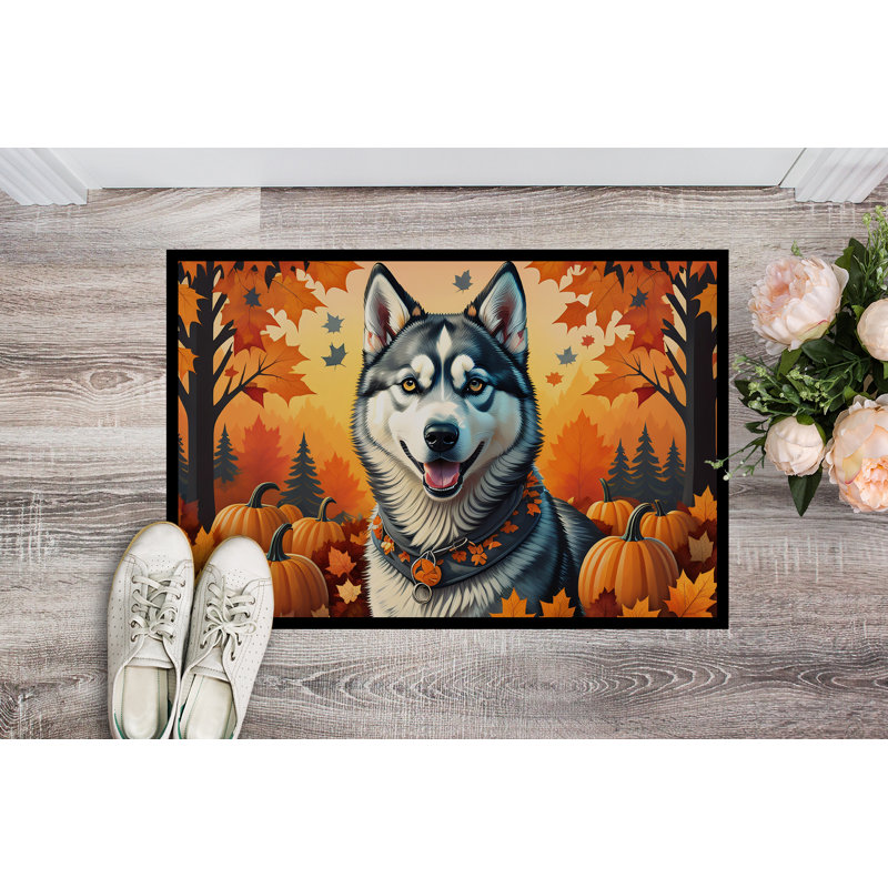 Tapis de porte intérieur antidérapant Noahalexander Husky, L 24 po x L 36 po
