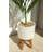32'' Faux Palm Tree in Ceramic Planter