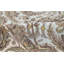 One-of-a-Kind 7'10" X 9'11" Area Rug