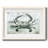 Neutral Crab I - Matted and Framed Under Glass, Large Living Room Wall Art-1332155673-1332155672