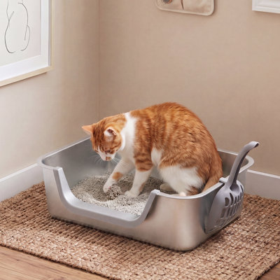 Litter Box