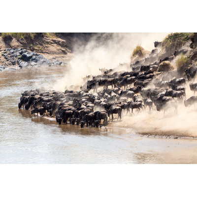 Great Wildebeest Migration in Kenya by 1001Slide