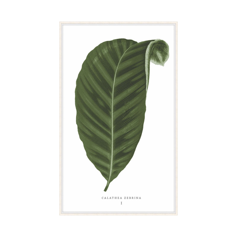 «Green Trace 3» par Studio L57 Nouvelle - impression d'un seul cadre photo sur papier, H 27,6 po x l 17,6 po