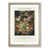 Oak Framed
