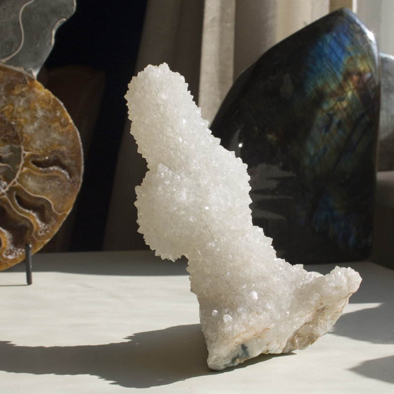 Avdhesh Figurines & Sculptures