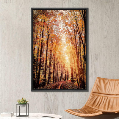 Automne automne «Orange Brown Autumn Forest Trees Landscape Images» sur