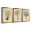 Esper Sea Fans IV - ensemble de 3 peintures sur toile encadrées-1921270025-1921270022