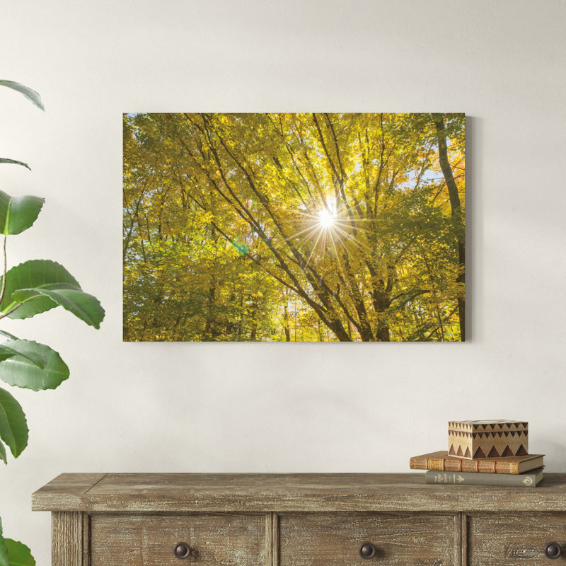 Feuillage d'automne Sunburst V, H 36 po x l 24 po