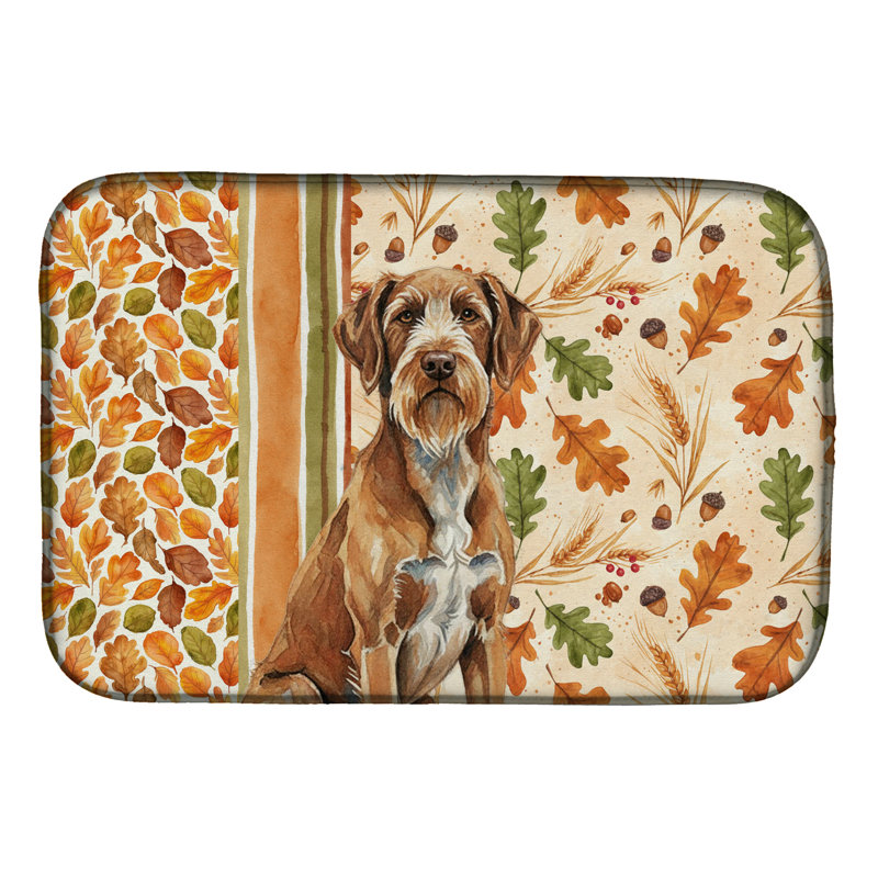 Tapis de séchage à poil dur Wirehaired