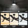 52'' Ceiling Fan with LED Lights