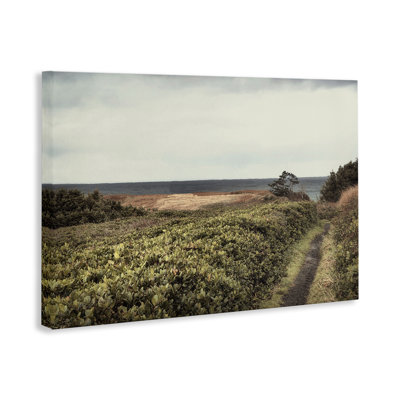 Serene Coastal Pathway Canvas Wall Art by Andy Amos