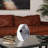 Oxman Hypnotic Short Glass Vase