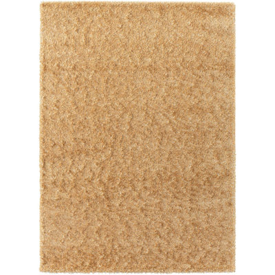 Indoor Rug