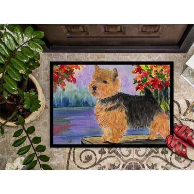 Non-Slip Indoor Doormat