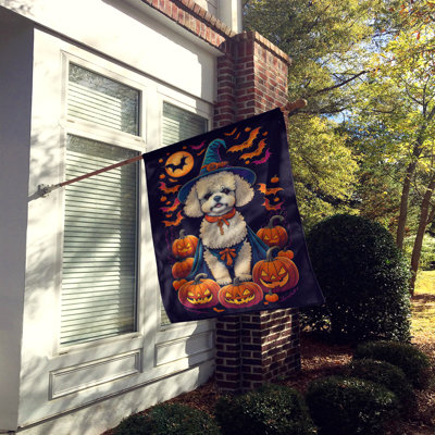 Drapeau de la maison d'Halloween Bichon Frise Witchy