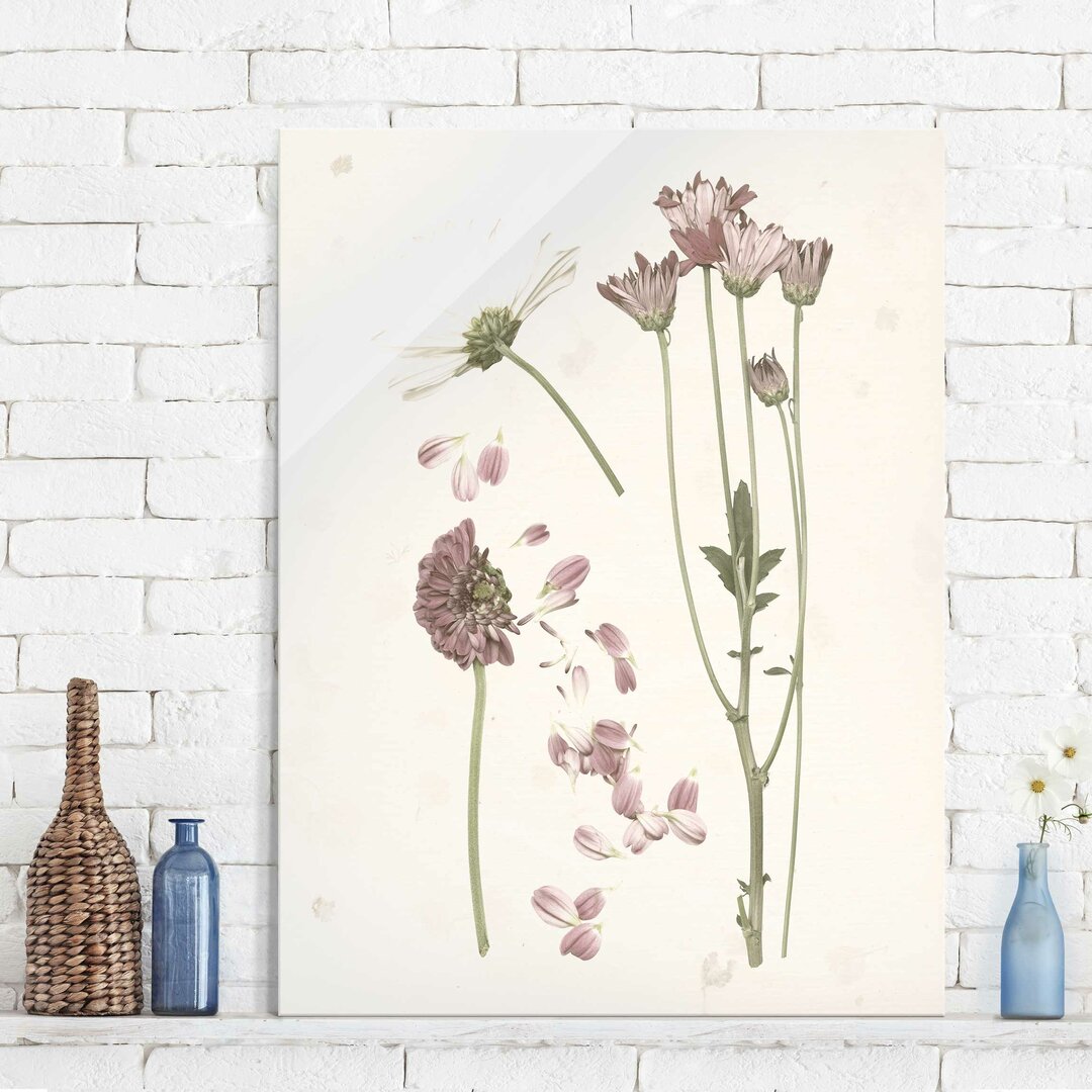 Glasbild Herbarium in Pink III