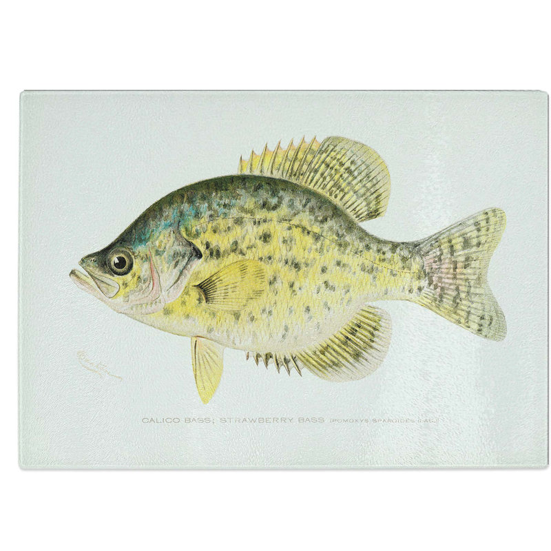 Tempered Glass Calico Bass Chopping Board, 39 cm W x 28.5 cm L
