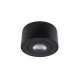 I Spy LED Outdoor Flush Mount