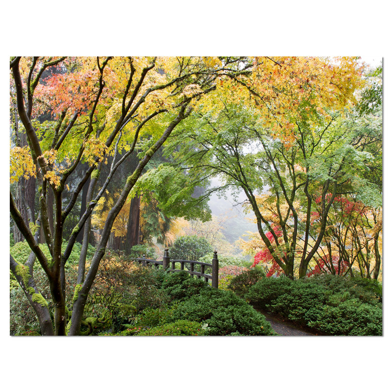 " Maple Tree Canopy ", 30" H x 40" W