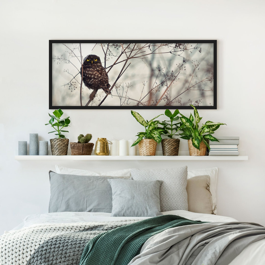 Gerahmtes Poster Owl in Winter