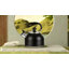Belfry Kitchen Raelene 2.7L Stainless Steel Whistling Stovetop Tea Kettle