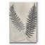 « Vintage Fern Study III », reproduction d’art sur toile tendue-1725412167