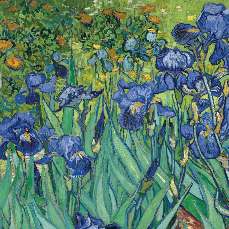 Irises 1889 - Impression sur toile encadrée, H 29,25 po x l 35,25 po x P 1,875 po