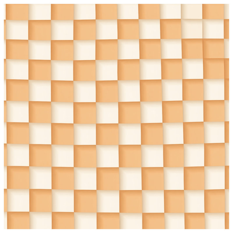 Coussins décoratifs à carreaux orange et blanc, 26 x 26 inches