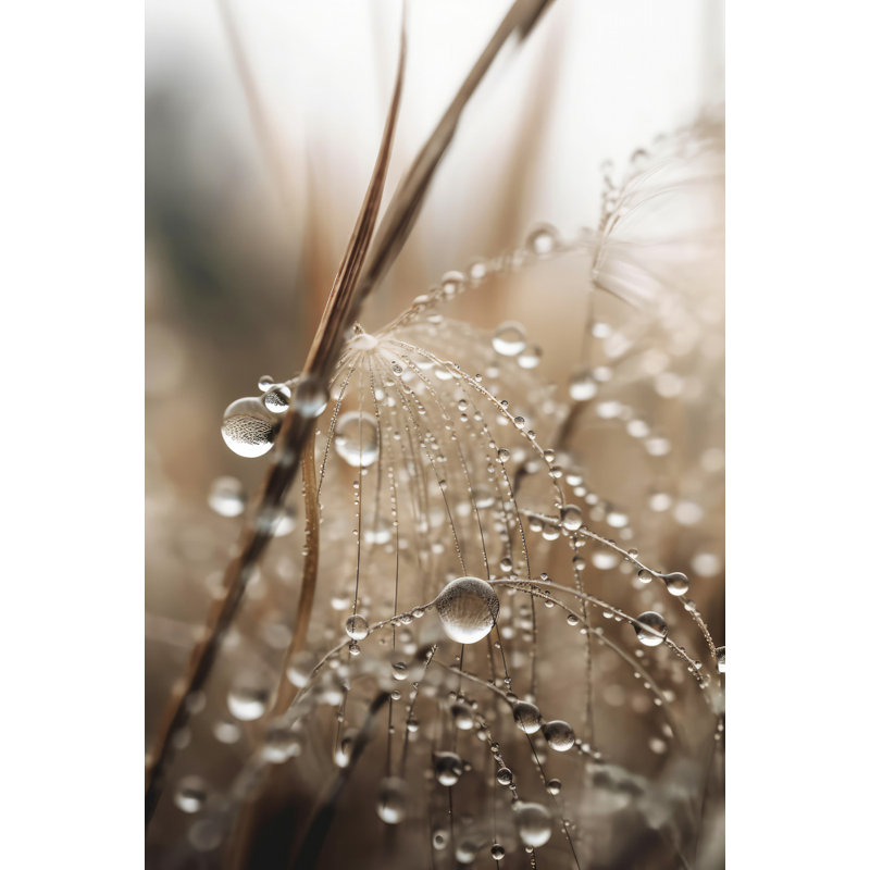 Wrapped Canvas Print, 76.2 cm H x 50.8 cm W