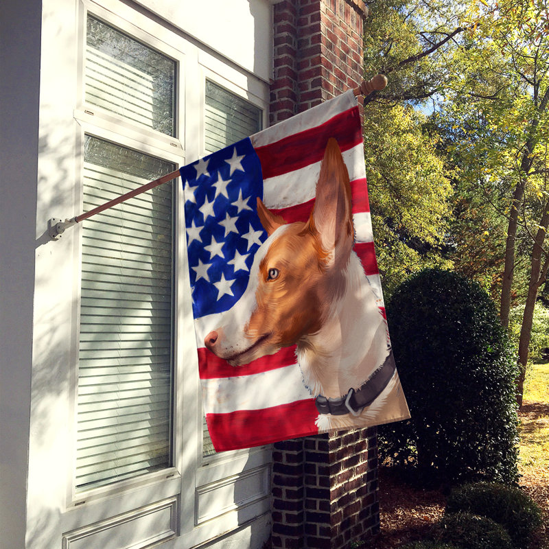 Polyester à 2 côtés 28 x 40 po drapeau maison, Chien d'Andalousie